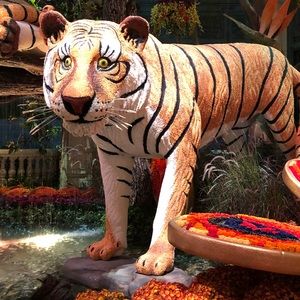 Meet your Posher, Dawn